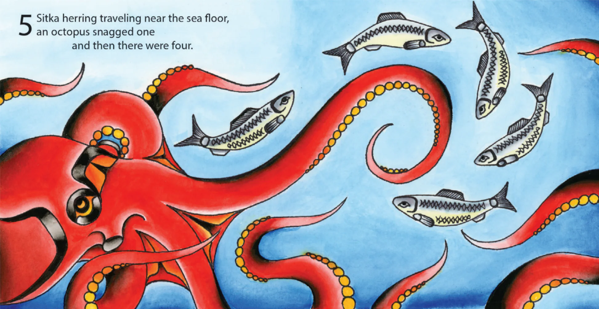10 Sitka Herring - Image 2