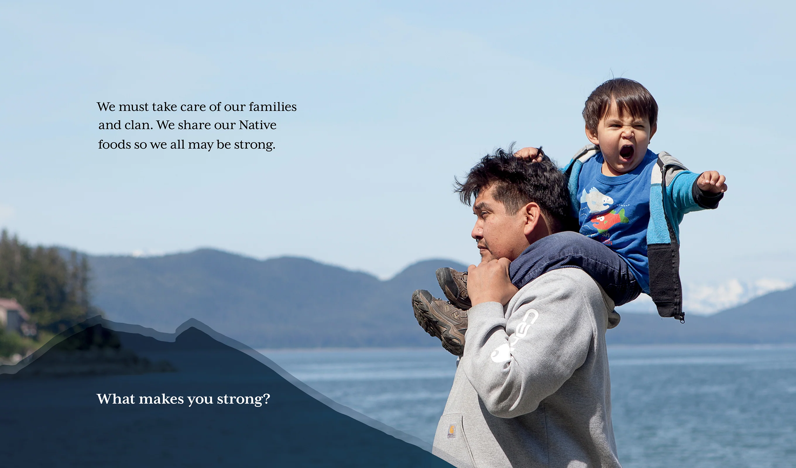 Native Values - Living In Harmony Book - Image 3